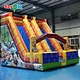 Inflatable water slide